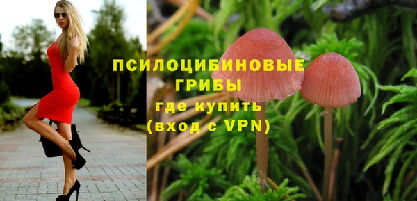 молекула духа Абинск